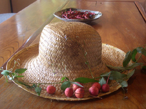 f0014579_2051160.jpg