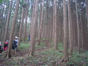 f0014579_2194180.jpg
