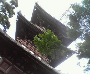 d0056881_213848.jpg
