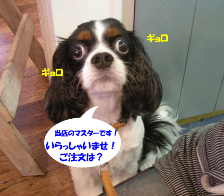 e0066883_22133544.gif