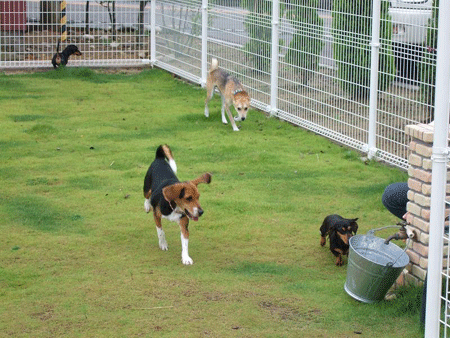 e0066883_22514978.gif