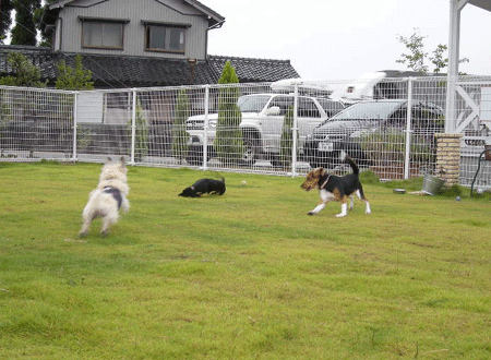 e0066883_22524894.gif