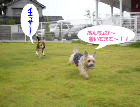e0066883_22541672.gif