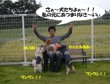 e0066883_225789.gif