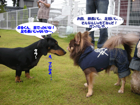 e0066883_2259760.gif