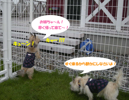 e0066883_23102040.gif
