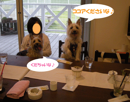 e0066883_2344323.gif