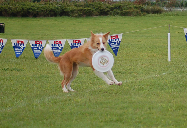 JFAあゆの里大会〜我が家編2_d0101385_2213424.jpg