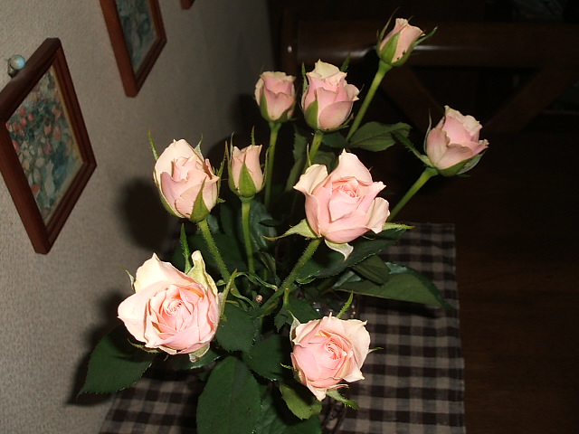 b0120396_21502558.jpg
