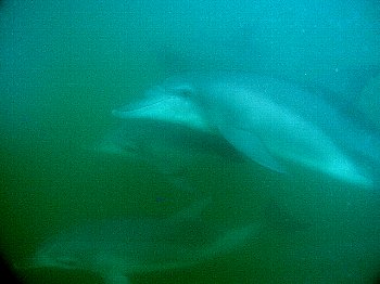 f0079996_15185416.jpg