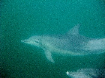 f0079996_151938.jpg