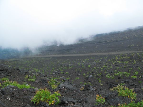 富士山の下り_b0060402_23373910.jpg