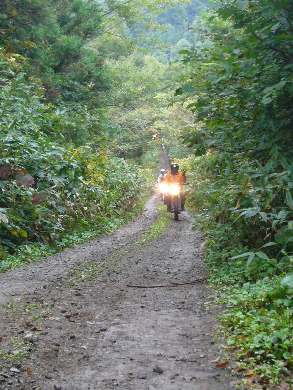 b0050305_18162694.jpg