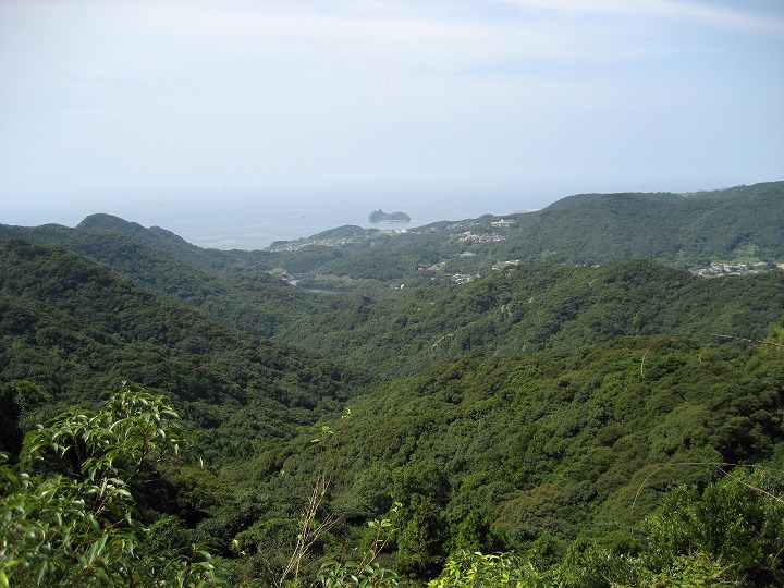 d0152306_7444753.jpg