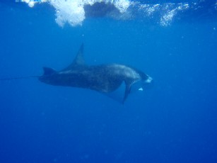 f0043911_22522826.jpg