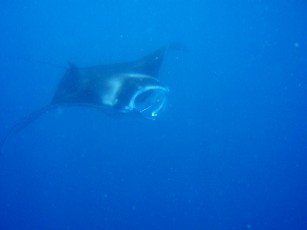 f0043911_22524757.jpg