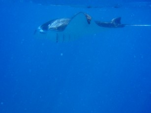 f0043911_22535150.jpg