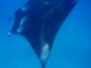 f0043911_22542188.jpg
