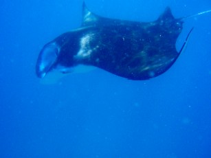 f0043911_2254959.jpg