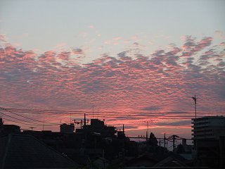 d0143214_22383697.jpg