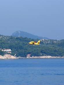 b0083417_23531233.jpg