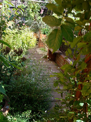 f0170524_1424565.jpg