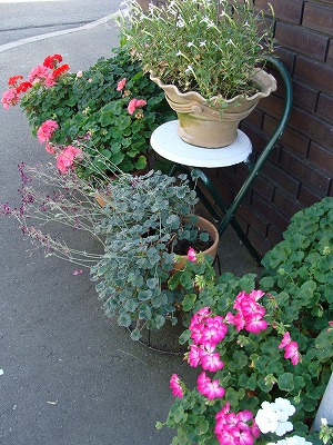 f0170524_1426213.jpg