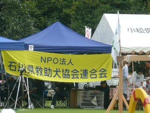 f0114128_15345398.jpg