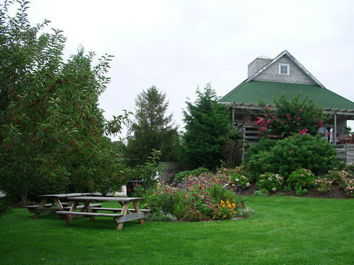 c0064534_25123.jpg