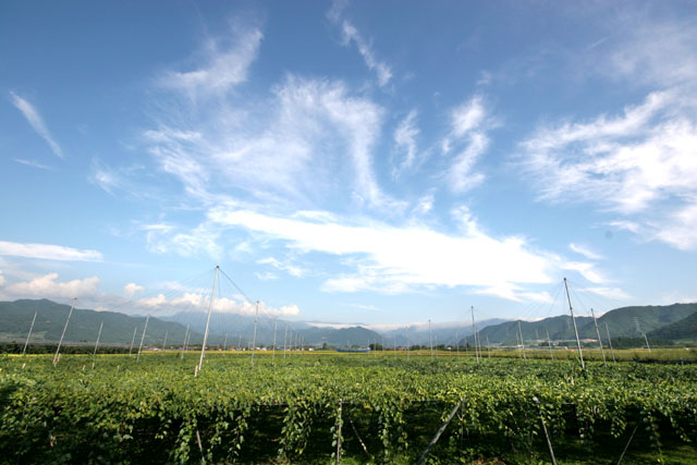 f0031535_13142179.jpg