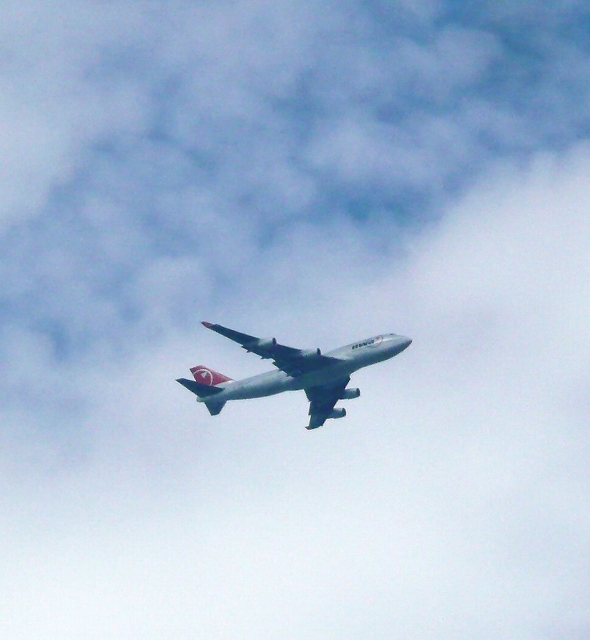 b0054936_2257106.jpg