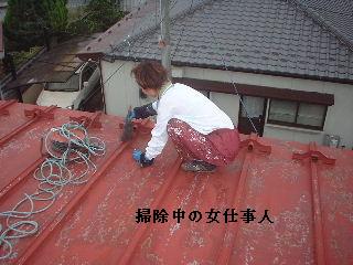 長尺トタンのタッチアップ塗装_f0031037_19474960.jpg