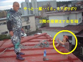 長尺トタンのタッチアップ塗装_f0031037_19481120.jpg