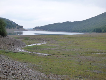 d0136540_159825.jpg