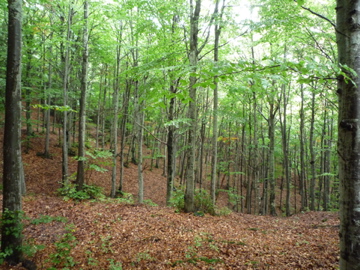 d0136540_2615100.jpg