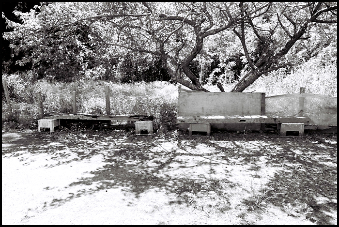 Monochrome　Sunlight_b0049843_2142165.jpg