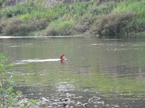 夏合宿2008_c0101448_015612.jpg