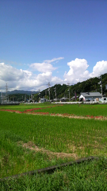 c0147261_11435823.jpg