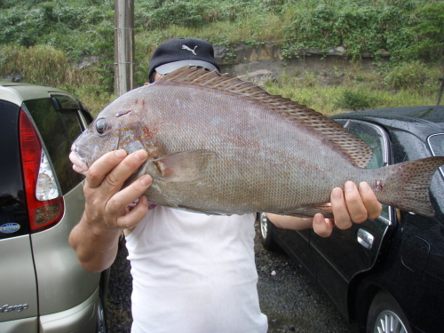 9月23日の釣果_a0077071_15512991.jpg