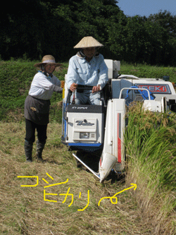 d0050871_10314422.gif