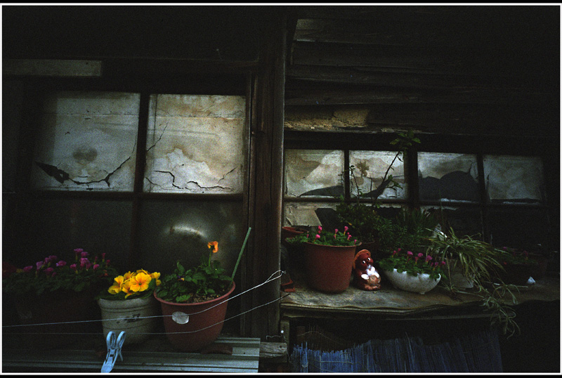 c0168172_214843.jpg