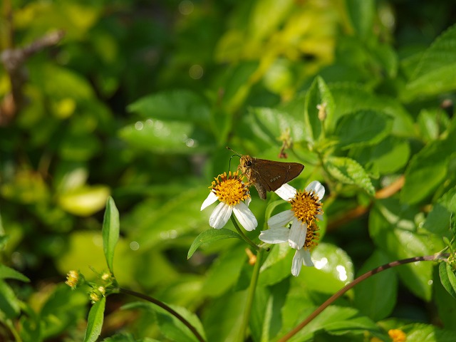 b0135573_18482641.jpg