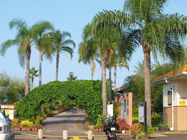 b0135573_6473350.jpg