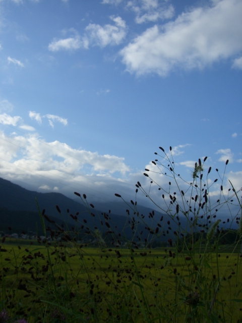 b0147175_17221461.jpg