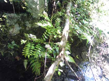 e0126576_13465819.jpg