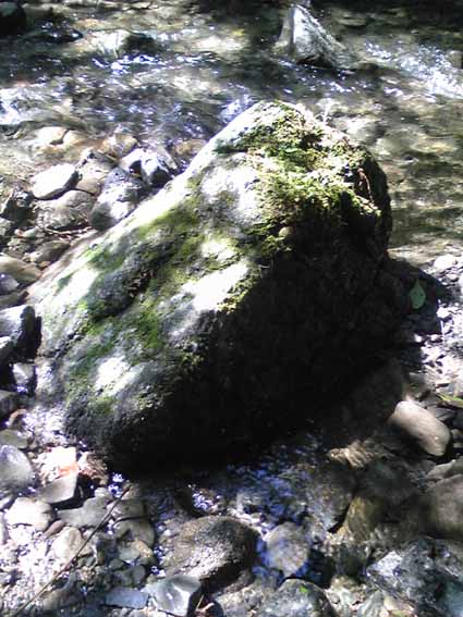 e0126576_13493248.jpg