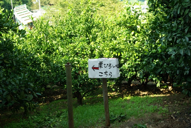 e0139376_22322470.jpg