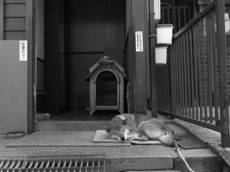 今井町・明日香村・吉野川_f0167977_2275611.jpg