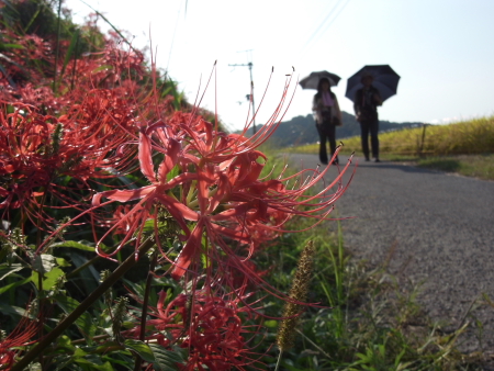 今井町・明日香村・吉野川_f0167977_2283895.jpg