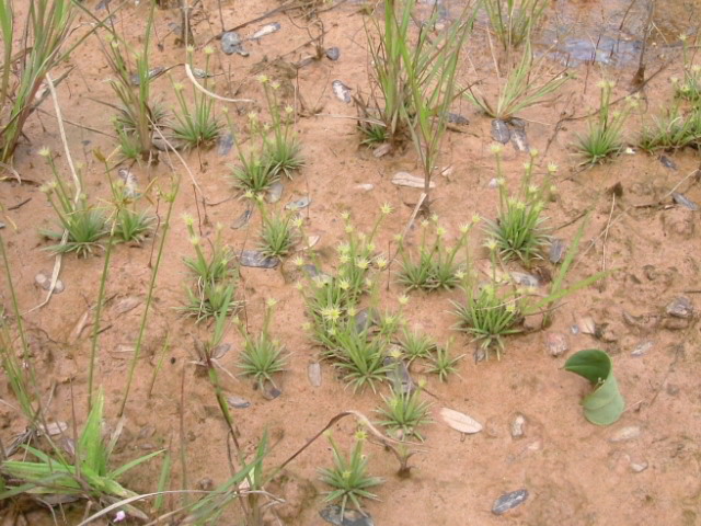 a0067578_92584.jpg
